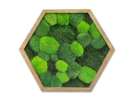 hexagon jeden ks mechlevne kopečkovy a plochy mech abstrakce