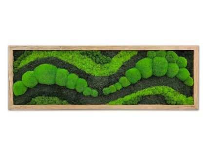 mechlevne vlny akce 011