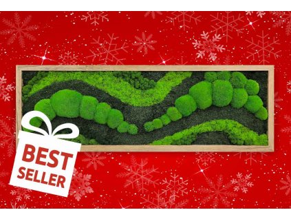 mechlevne vlny 04 vánoce