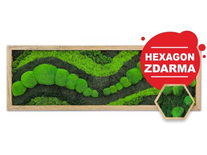 mechlevne vlny akce 01 hex