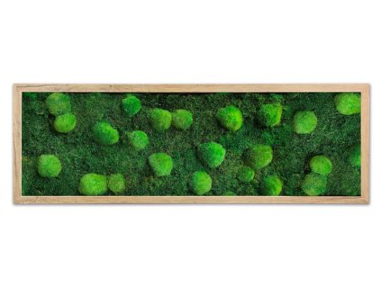 mechlevne abstrakce světla varianta