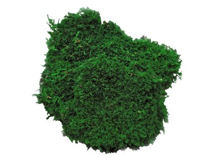 qualimoss faltmtmoss dark green