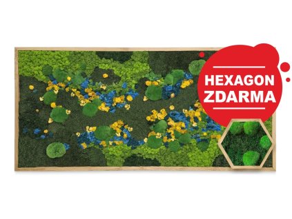 Mechový obraz BLOOM s hexagonem