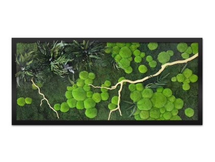 mechlevne mechovy obraz s vetvi hranatyb 01