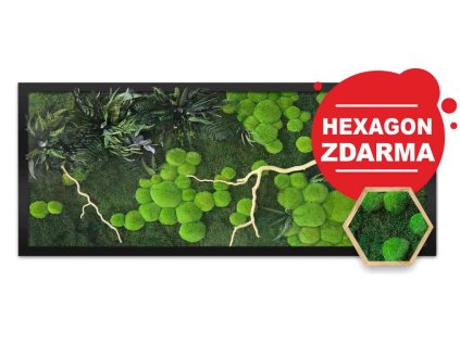 mechlevne mechovy obraz s vetvi hranaty hexagon zdarma