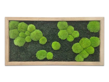 Mechlevne mechova abstrakce kontrastní 01