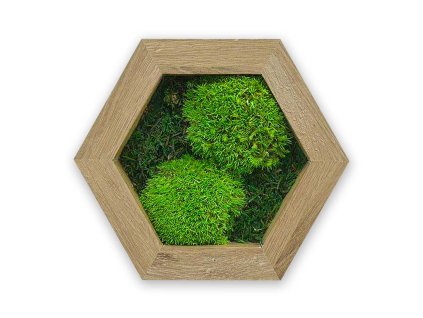 hex nový mdf dárek