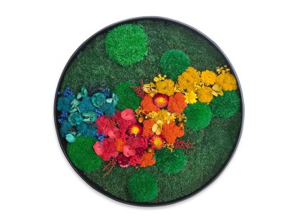 Mechový obraz COLOR kulatý 01