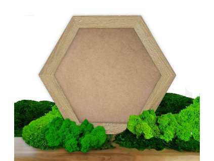 hexagon sada 02 sobí