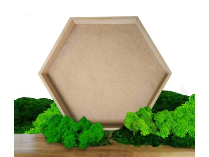 Mechlevne sada hexagon