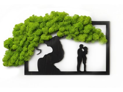 Mechlevne bonsai rodina 01