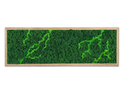 Sobí nový vzor blesky 01