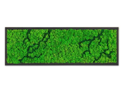 Sobí nový vzor blesky light 01