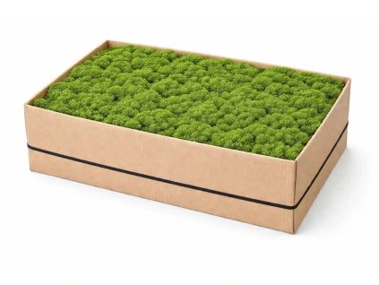 Mech levně světle zelená 5kg