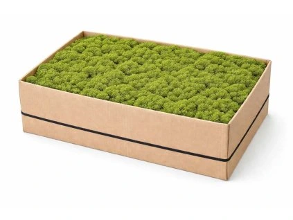 Mech levně limetková 5kg