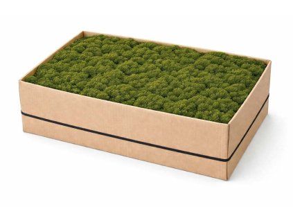 Mech levně olivová 5kg