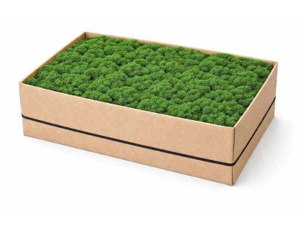 Mech levně středně zelená 5kg