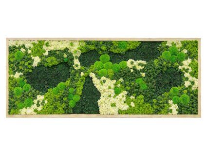 mechlevne mechovy obraz natural 03