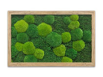 mechlevne 40x60 cm dub 622
