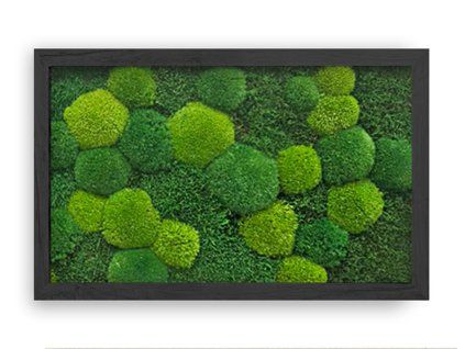 mechlevne 40x60 cm černý 622