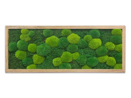 mechlevne 40x100 cm dub 622