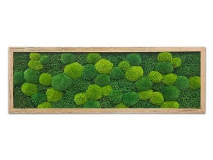 mechlevne 40x120 cm dub 622