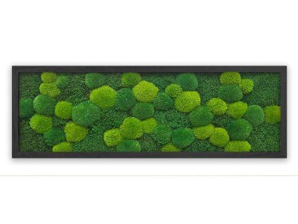 mechlevne 40x120 cm černý 622