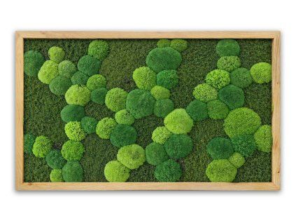 mechlevne mechovy obraz 60x100cm 622
