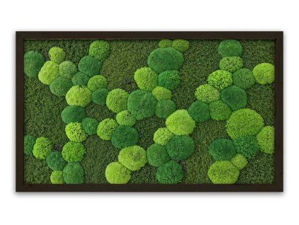 mechlevne mechovy obraz černý rám 60x100cm 622