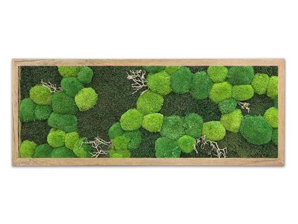 mechlevne 40x100 cm dub 625