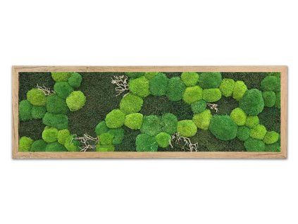 mechlevne 40x120 cm dub 625