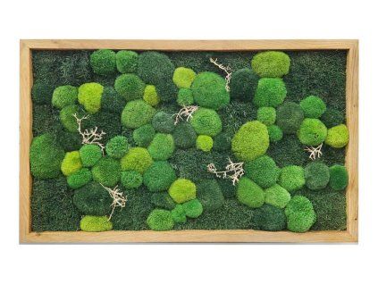 mechlevne mechovy obraz 60x100cm 625