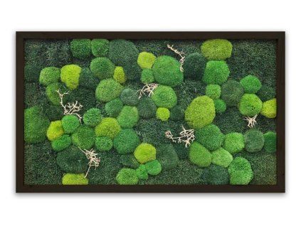 mechlevne mechovy obraz černý rám 60x100cm 625