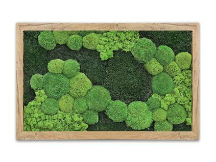 mechlevne 40x60 cm dub 1451