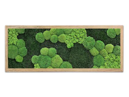 mechlevne 40x100 cm dub 1451