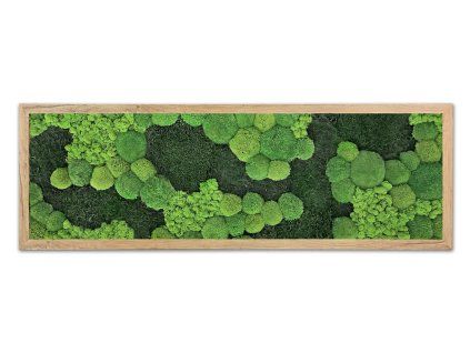 mechlevne 40x120 cm dub 1451