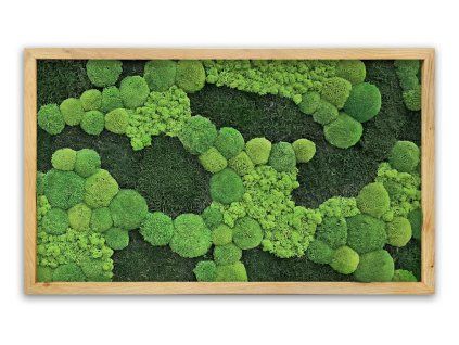 mechlevne 60x100 cm dub 1451