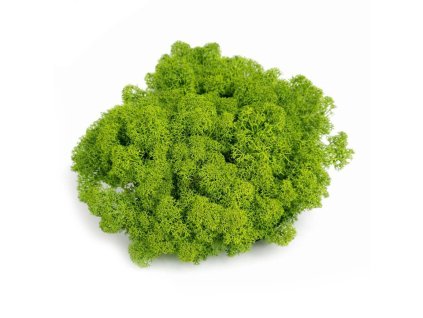 Mech levně svetlý sobí