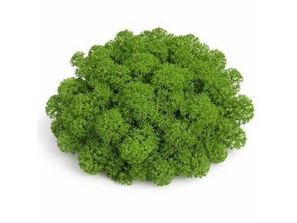 Mech levně středně zelená