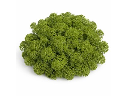 Sobí mech středně zelená