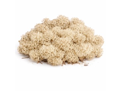 ChatGPT Image 19. 3. 2026 11 13 35