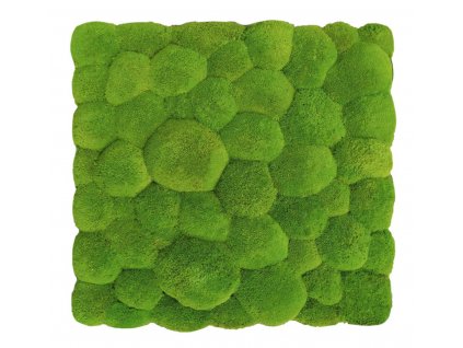 qualimoss mechovy panel light green cely