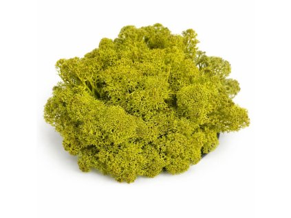 Sobí mech limetková