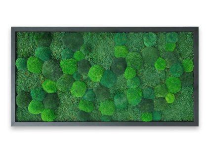 mechovy obraz 60x120