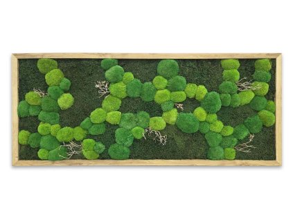 mechlevne vyprodej 01