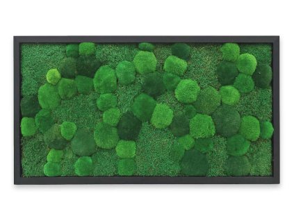 mechovy obraz mechlevne kopečky plochy tmavý 01