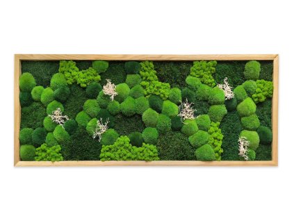 mechlevne mechovy obraz sobi mech a dřeviny