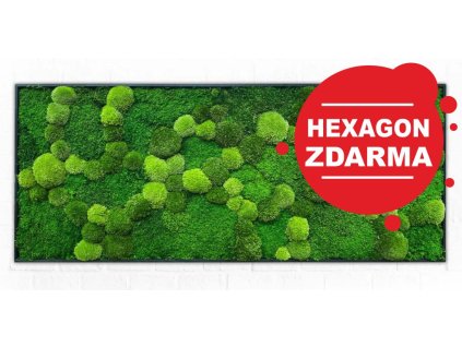 obraz1 mechlevne hex