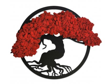 Mechlevne bonsai červená 01
