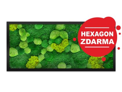mix druhu mechu fotka na eshop hex